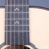Lee guitars M30P ʼ