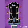 Taylor 616CE Expression System 2