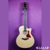 Taylor 616CE Expression System 2