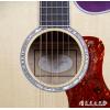 Taylor 616CE Expression System 2