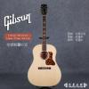 ۳ Gibson Advanced Jumbo Flame DeLuxe ȫ65֧