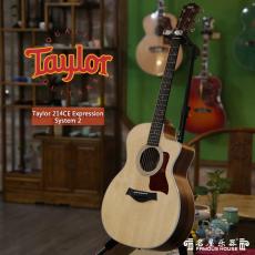 Taylor 214CE Expression System 2