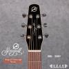 Seagull Entourage Rustic