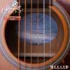 Seagull Entourage Rustic