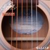 Seagull S6 Cedar Concert Hall