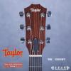 Taylor 214CE Expression System 2