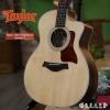 Taylor 214CE Expression System 2