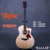 Taylor 214CE Expression System 2