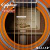 Epiphone Masterbilt DR-500MCE/NA
