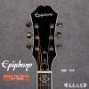Epiphone Dave Navarro 