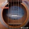 Seagull Entourage Rustic Q