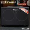Roland AC-60 ҥ
