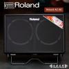 Roland AC-60 ҥ