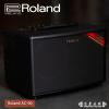 Roland AC-60 ҥ