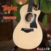 Taylor 312CE