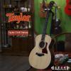 Taylor 214E Deluxe Expression System 2