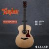 Taylor 214E Deluxe Expression System 2
