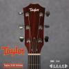Taylor 214E Deluxe Expression System 2
