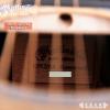 Martin GPCPA4 ROSEWOOD