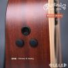 Martin DCPA5