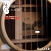 Lee guitars DJ30 ʼ