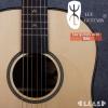 Lee guitars DJ30 ʼ