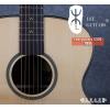 Lee guitars S30E ʼ