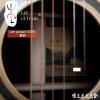 Lee guitars S30E ʼ