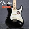 Fender 011-3002-706 AMERICAN STANDARD STRATOCASTER