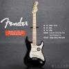 Fender 011-3002-706 AMERICAN STANDARD STRATOCASTER