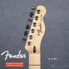 Fender 014-5102-380 Standard Telecaster