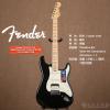 Fender 011-4112-710 American Elite STRATOCASTER HSS SHAWBUCKER
