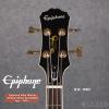 Epiphone Allen Woody Limited Edition Rumblekat Bass WR