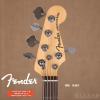 Fender 019-3000-728 AMERICAN ELITE DIMENSION BASS V HH