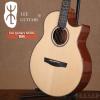 Lee guitars M30C ʼ