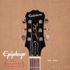 Epiphone Ltd. Ed. 2015 Joe Bonamassa Les Paul Standard w/Bigsby Outfit