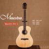 Maestro EO-1