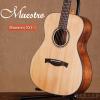 Maestro EO-1