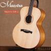 Maestro EM-2