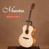 Maestro EM-2