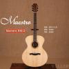 Maestro EM-2