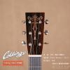 ۳ Collings OM2H ⶨ ֹҥ