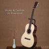 ۳ Huss & Dalton 00 Rosewood
