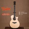 Taylor 914CE Expression System 2