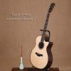Taylor 914CE Expression System 2