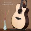 Taylor 914CE Expression System 2