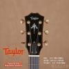 Taylor 914CE Expression System 2