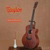 Taylor 324CE-K FLTD
