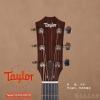 Taylor 324CE-K FLTD