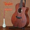 Taylor 324CE-K FLTD